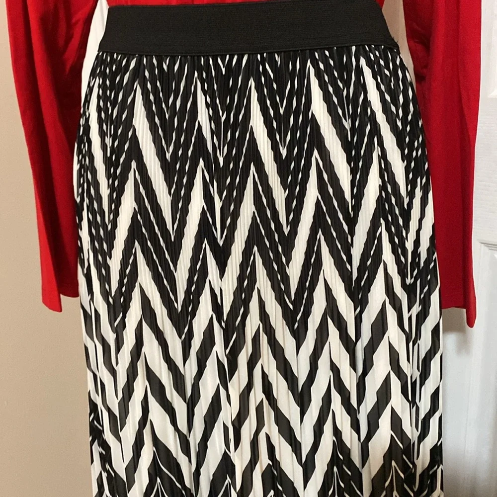 NWOT Sheer Overlay Skirt Size Large - Picture 2 of 5